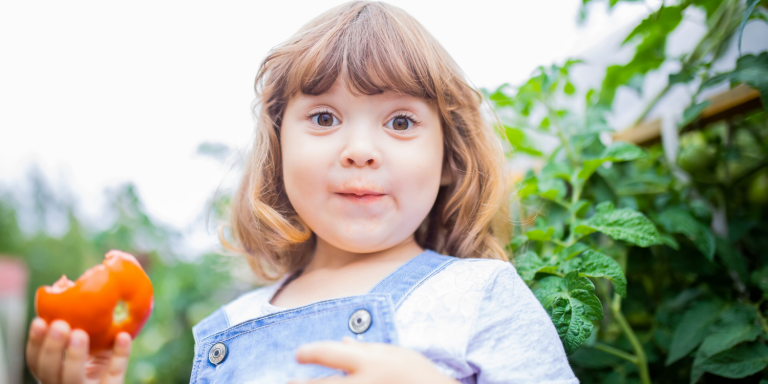 What is a Naturopathic Doctor?