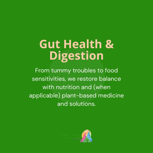 Instagram post: Gut health and digestion